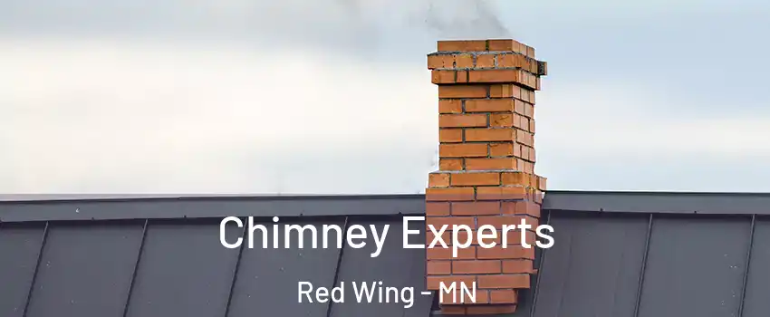  Chimney Experts Red Wing - MN