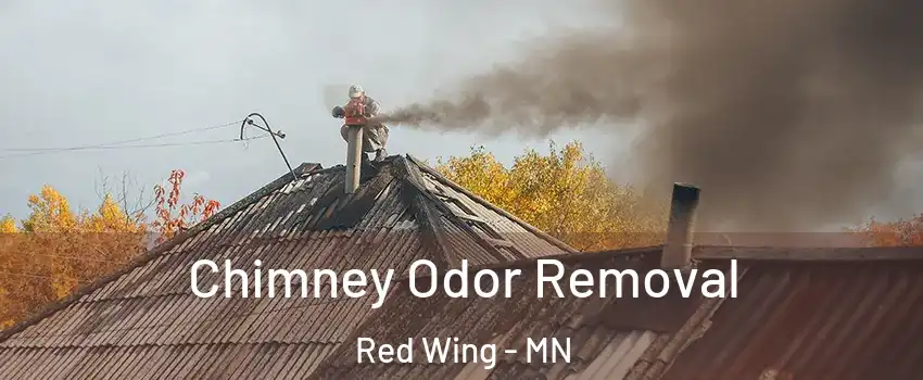  Chimney Odor Removal Red Wing - MN
