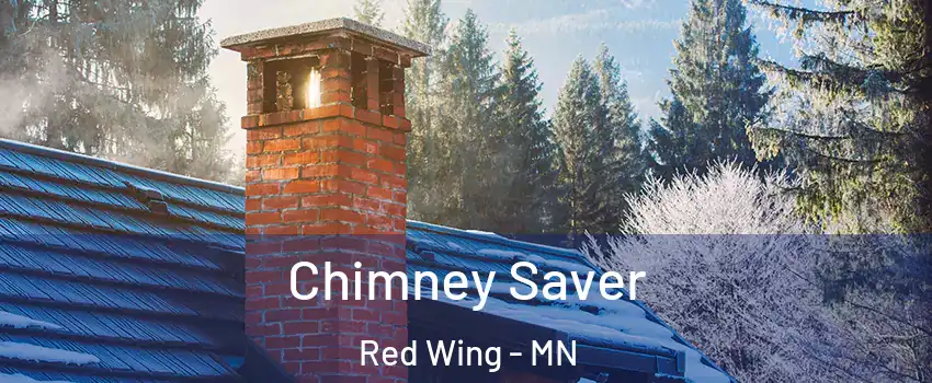  Chimney Saver Red Wing - MN
