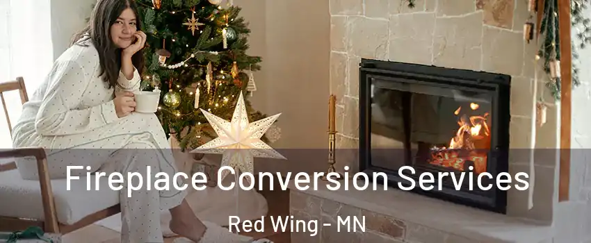  Fireplace Conversion Services Red Wing - MN