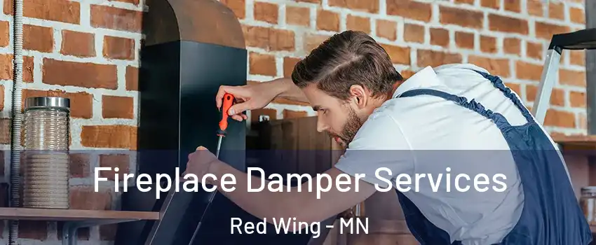  Fireplace Damper Services Red Wing - MN