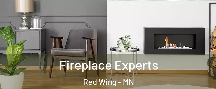 Fireplace Experts Red Wing - MN