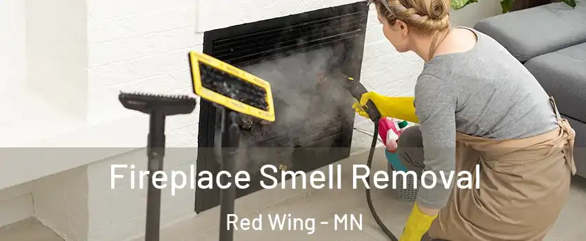  Fireplace Smell Removal Red Wing - MN