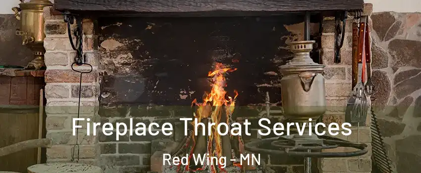  Fireplace Throat Services Red Wing - MN