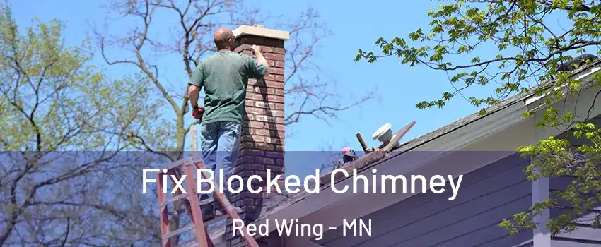  Fix Blocked Chimney Red Wing - MN
