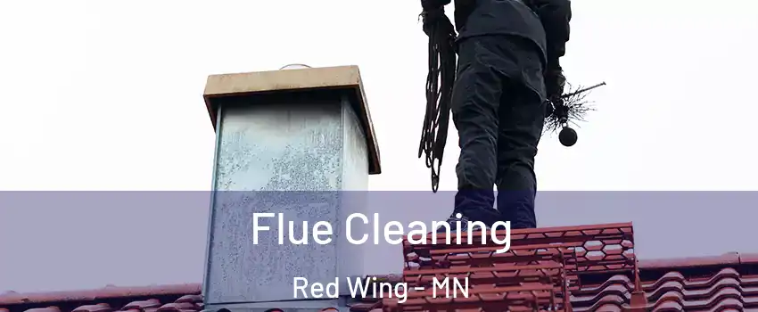  Flue Cleaning Red Wing - MN