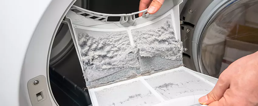 Best Dryer Lint Removal Company in Red Wing, Minnesota