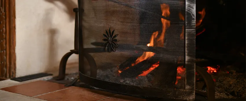 Electric Metal Fireplace installation Services in Red Wing, MN