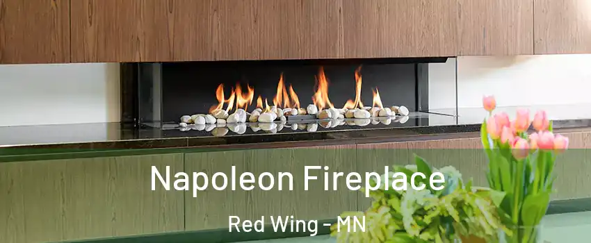  Napoleon Fireplace Red Wing - MN