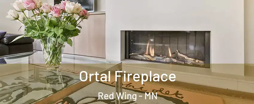  Ortal Fireplace Red Wing - MN